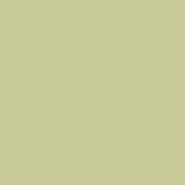 Little Greene - 085 - Kitchen Green